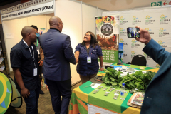 Indaba_153