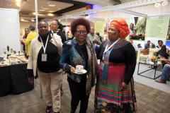 Indaba_232