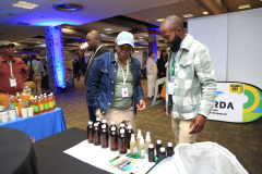 Indaba_247