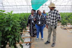 Indaba_290