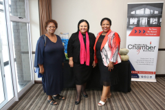 Agri-Indaba-Launch-24-scaled