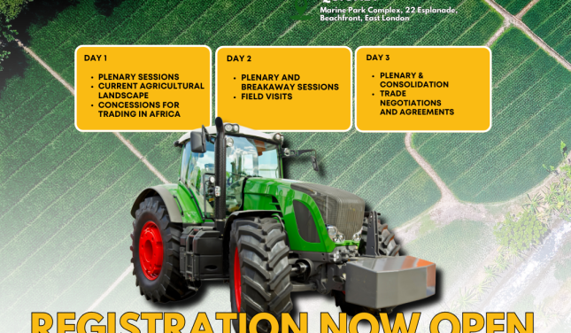 INDABA ADVERTS (6)